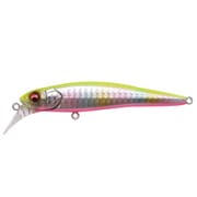 HALIBUT90(ハリバット) GG チャートバックレインボー