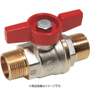R913X025 [GIACOMINI DADO ボールバルブ オスxオス 1]