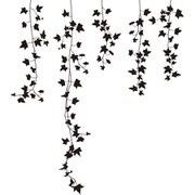 ウォールステッカー アイビー ブラック Sサイズ 転写タイプ TS-0009-AS