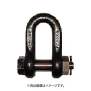 SB30 [大洋 JISシャックル M級 黒 SB-30]