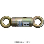 SS101 [大洋 ダブルサルカン SS-101]