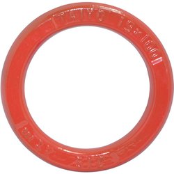 URG19X100 [大洋 強力リング 19×100]