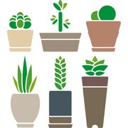 ウォールステッカー 多肉植物 グリーン Sサイズ 転写タイプ TS-0024-AS