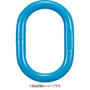 X-002-19 [YOKE G-100ENマスターリンク]