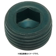 Y1082-0118 [TRUSCO テ-パ-沈みプラグSP2 PT1/8 20個入]