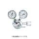 YS-1-R-1101-1204-NH3 [ヤマト 腐食性ガス用圧力調整器 YS-1]