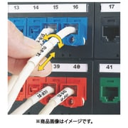 R100X125V1C [パンドウイット 熱転写ハンディプリンタ用回転ラベル 白 印字部25.4mmx9.7mm ラベル数100枚 R100X125V1C]