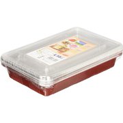 弁当箱 使い捨て ランチパック L 10枚入 フィーリング ディッシュパック