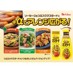 ハウス食品 つぶ入りマスタード４０ｇ ×60個 ４０ｇ つぶ入りマスタード | 商品カタログトップ | ハウス食品