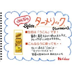 ヨドバシ.com - ハウス食品 ハウス ターメリック 14g 通販【全品無料配達】