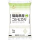 精米 福島県産 コシヒカリ 5kg 令和3年産