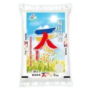 精米 福島県産 天のつぶ 5kg 令和2年産