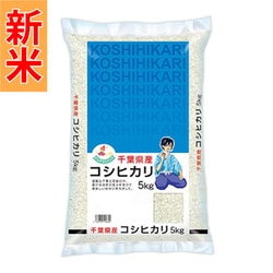 精米 千葉県産 コシヒカリ 5kg 令和7年産