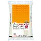 精米 千葉県産 ふさこがね 5kg 令和5年産