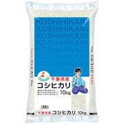 精米 千葉県産 コシヒカリ 10kg 令和5年産