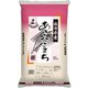 精米 秋田県産 あきたこまち 10kg 令和5年産