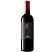 サリエ・デ・ラ・トゥール シラー 13.5度 750ml イタリア [赤ワイン]