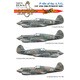 EAG72176 1/72 エアクラフト用デカール P-40S OF THE A.V.G. 1ST AND 2ND 追跡飛行隊 [プラモデル用品]