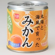太陽と海風で育った みかん 缶 170g