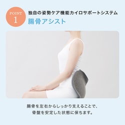 ヨドバシ.com - Style スタイル Style Standard N01（スタイル