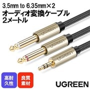 3.5mm to 6.35mm×2 オーディオ変換ケーブル 2m AV126-10615