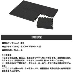 ヨドバシ.com - ファイティングロード FIGHTINGROAD 841FR20CM5605