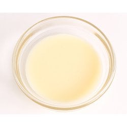 ヨドバシ.com - 富澤商店 TOMIZ 01680500 筑波コンデンスミルク