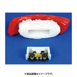 すし電 サーモン (動力付) (鉄道模型) - ホビーサーチ 鉄道模型 N