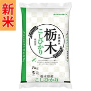 精米 栃木県産 こしひかり 5kg 令和7年産