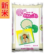 精米 秋田県産 あきたこまち 5kg 令和7年産