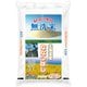 無洗米 北海道産 ななつぼし 5kg 令和6年産
