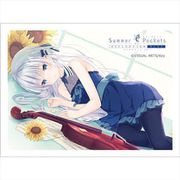 Summer Pockets REFLECTION BLUE スリーブ 鳴瀬しろは/ひと夏の冒険 [キャラクターグッズ]