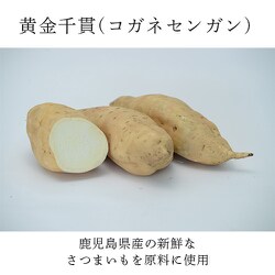 ヨドバシ.com - 薩摩酒造 薩摩豪 芋 40度 720ml [焼酎] 通販【全品無料