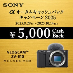 SONY ZVーE10L レンズキット 【説明要確認】 VLOGCAM ZV-E10L パワーズームレンズキット ミラーレス一眼