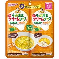そのままソース かぼちゃクリーム 40g×2 [対象月齢：7ヶ月から]