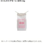 石川県産 コシヒカリアモーレ 玄米 1kg