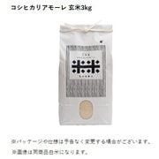 石川県産 コシヒカリアモーレ 玄米 3kg