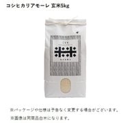 石川県産 コシヒカリアモーレ 玄米 5kg