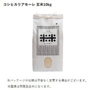 石川県産 コシヒカリアモーレ 玄米 10kg