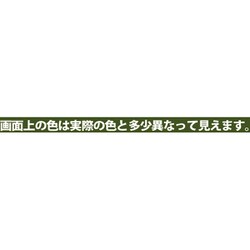 ヨドバシ.com - カンペハピオ Kanpe Hapio アレスアーチ プライム