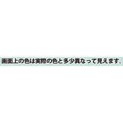 ヨドバシ.com - カンペハピオ Kanpe Hapio アレスアーチ アーチスカイ 4L 通販【全品無料配達】