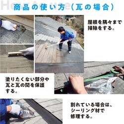 ヨドバシ.com - カンペハピオ Kanpe Hapio 水性シリコン遮熱屋根用