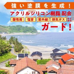 ヨドバシ.com - カンペハピオ Kanpe Hapio 水性シリコン遮熱屋根用