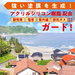 ヨドバシ.com - カンペハピオ Kanpe Hapio 水性シリコン遮熱屋根用