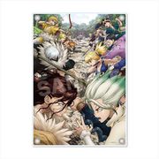 Dr.STONE アクリルボード （01） 2期キービジュアル [キャラクターグッズ]