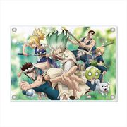 Dr.STONE アクリルボード （02） 集合 [キャラクターグッズ]