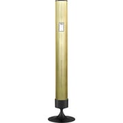空気清浄機 ナノドロン シャンパンフォグ Special Editionシリーズ ~70畳/PM2.5対応 NJ20-CFO