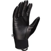 Astro Guide Glove 1190-00021 0001 black サイズ6 [アウトドア グローブ]