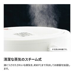 象印 スチーム式加湿器 ホワイト 4.0L EE-DC50-WA(1台)