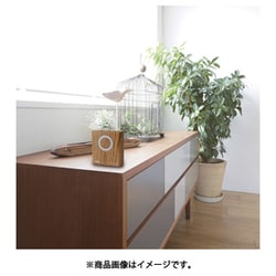 B65/M 4点セット／ひみりん様 リクエスト ダイワ 紅牙AIR N65MB TG AM 秋丸美帆(みっぴ)プロデュース: 竿